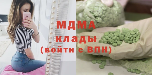 индика Богородицк