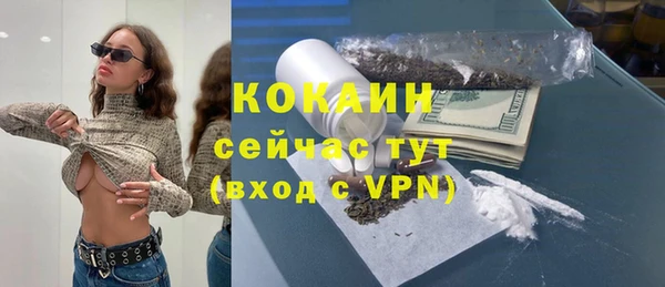 прущий лед Богданович