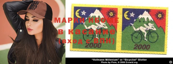 индика Богородицк