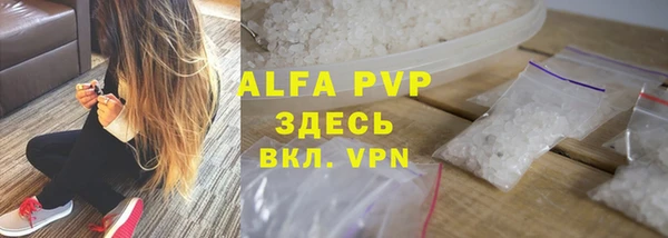 индика Богородицк