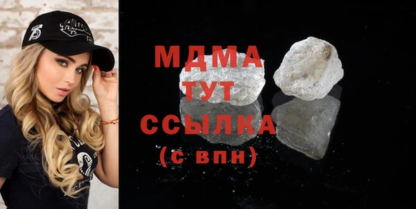 индика Богородицк