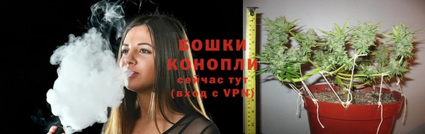 прущий лед Богданович
