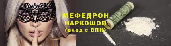 индика Богородицк