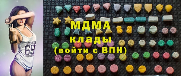 индика Богородицк