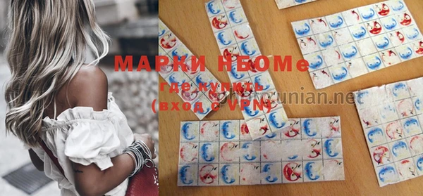 индика Богородицк