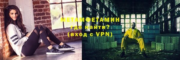 индика Богородицк