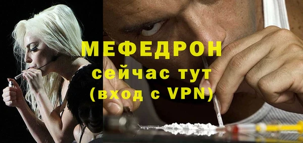 индика Богородицк