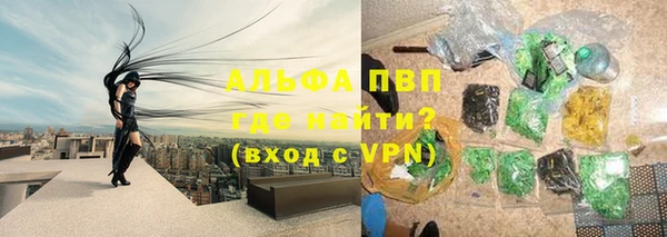 индика Богородицк