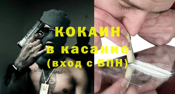 индика Богородицк