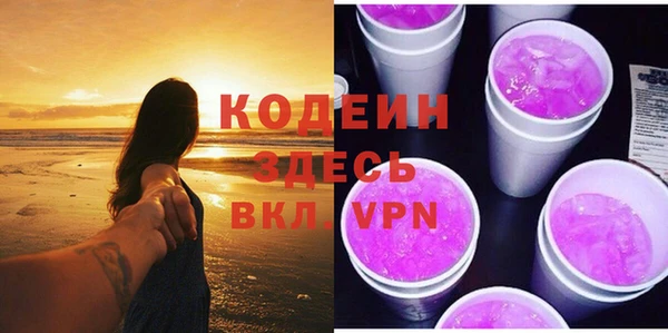 прущий лед Богданович