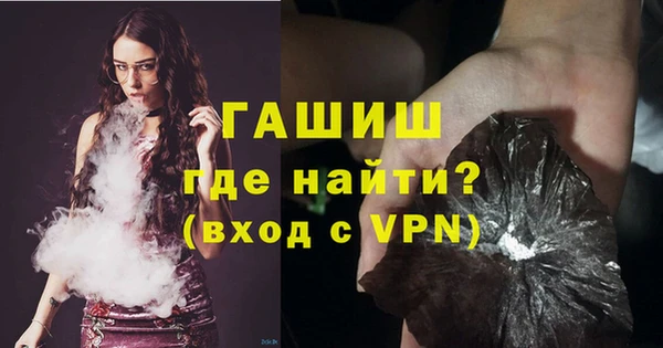индика Богородицк
