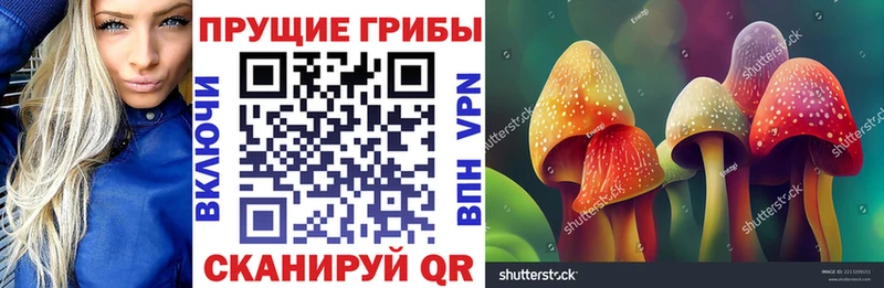 hydra зеркало  где можно купить   Дубовка  darknet какой сайт  Галлюциногенные грибы ЛСД 