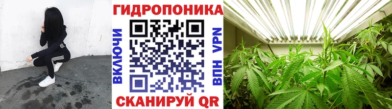 Марихуана MAZAR  магазин продажи   Дубовка 